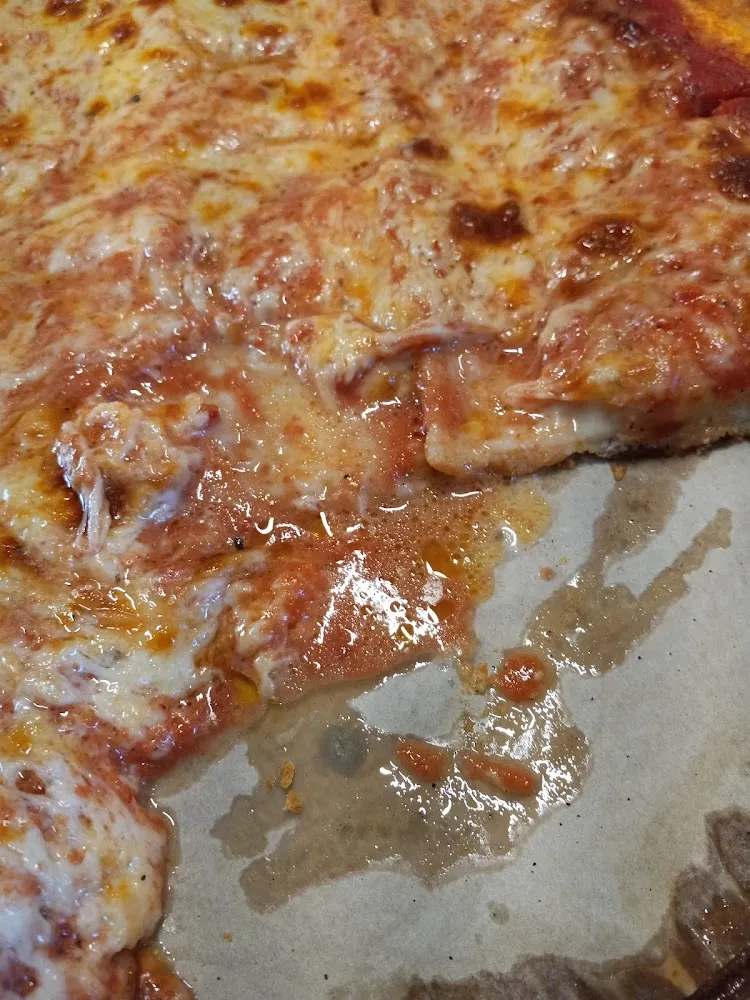Plain Pizza